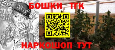 тгк Тула