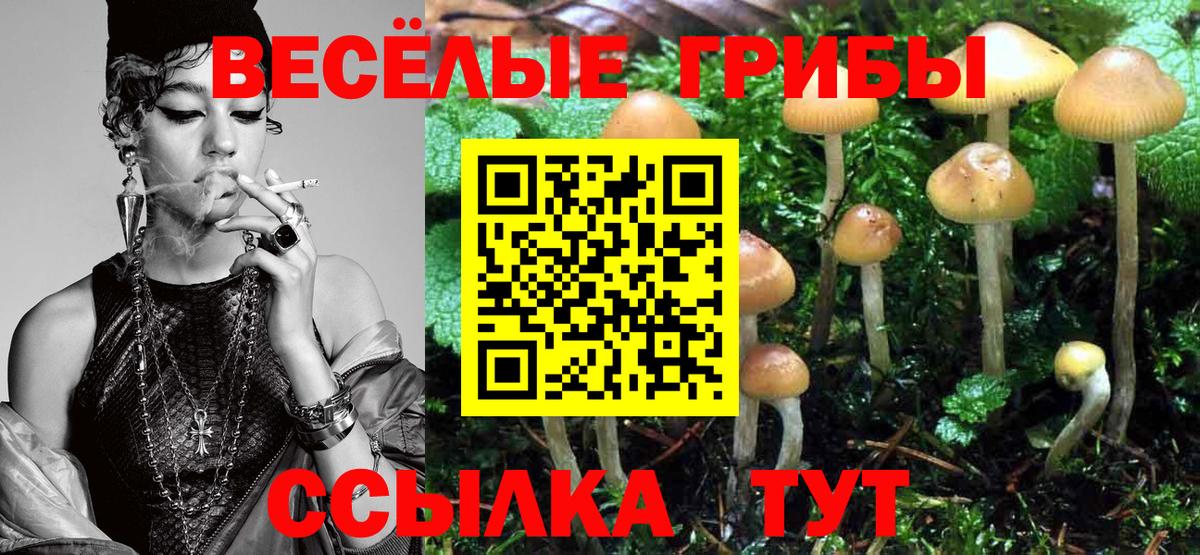 где купить наркотик  Галлюциногенные грибы мицелий  Вход с VPN  Киселёвск 
