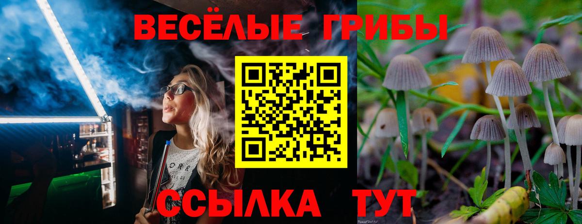 Галлюциногенные грибы прущие грибы Киселёвск